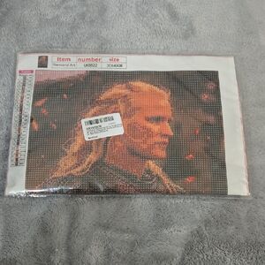 Diamond Art Kit with Warrior Design